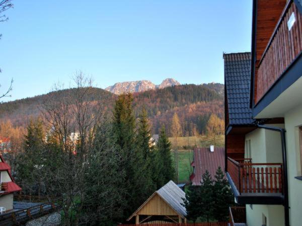 Apartament Domino - Krzeptowki 06 Zakopane Eksteriør billede
